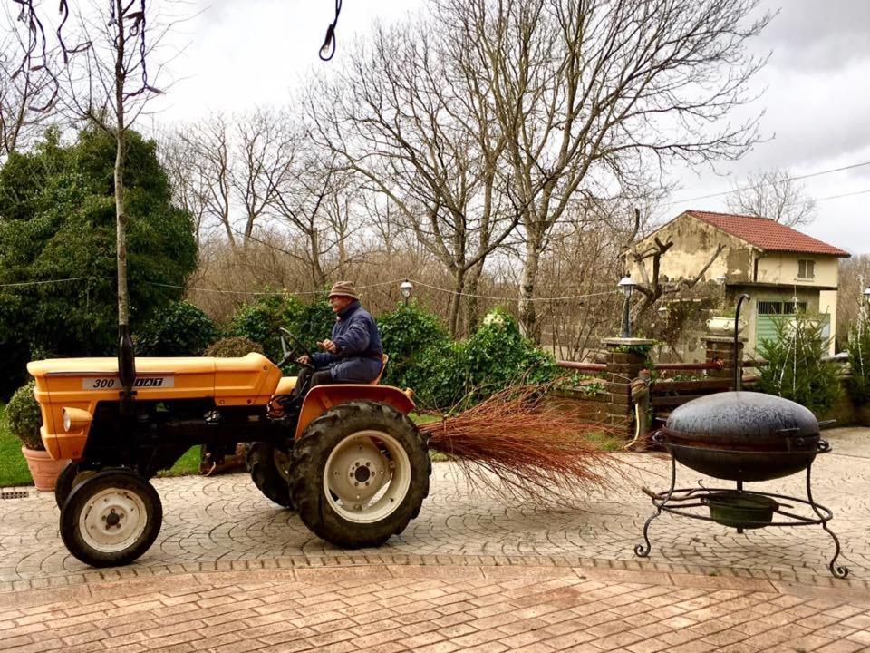 Santo Stefano del Sole Agriturismo Da Baffone מראה חיצוני תמונה