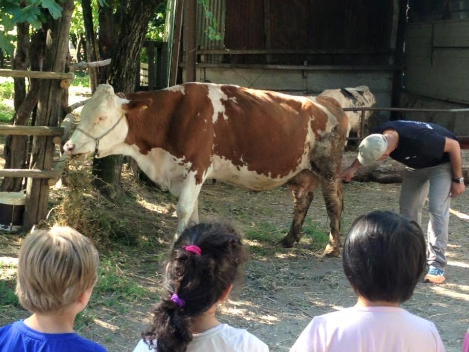 Santo Stefano del Sole Agriturismo Da Baffone מראה חיצוני תמונה